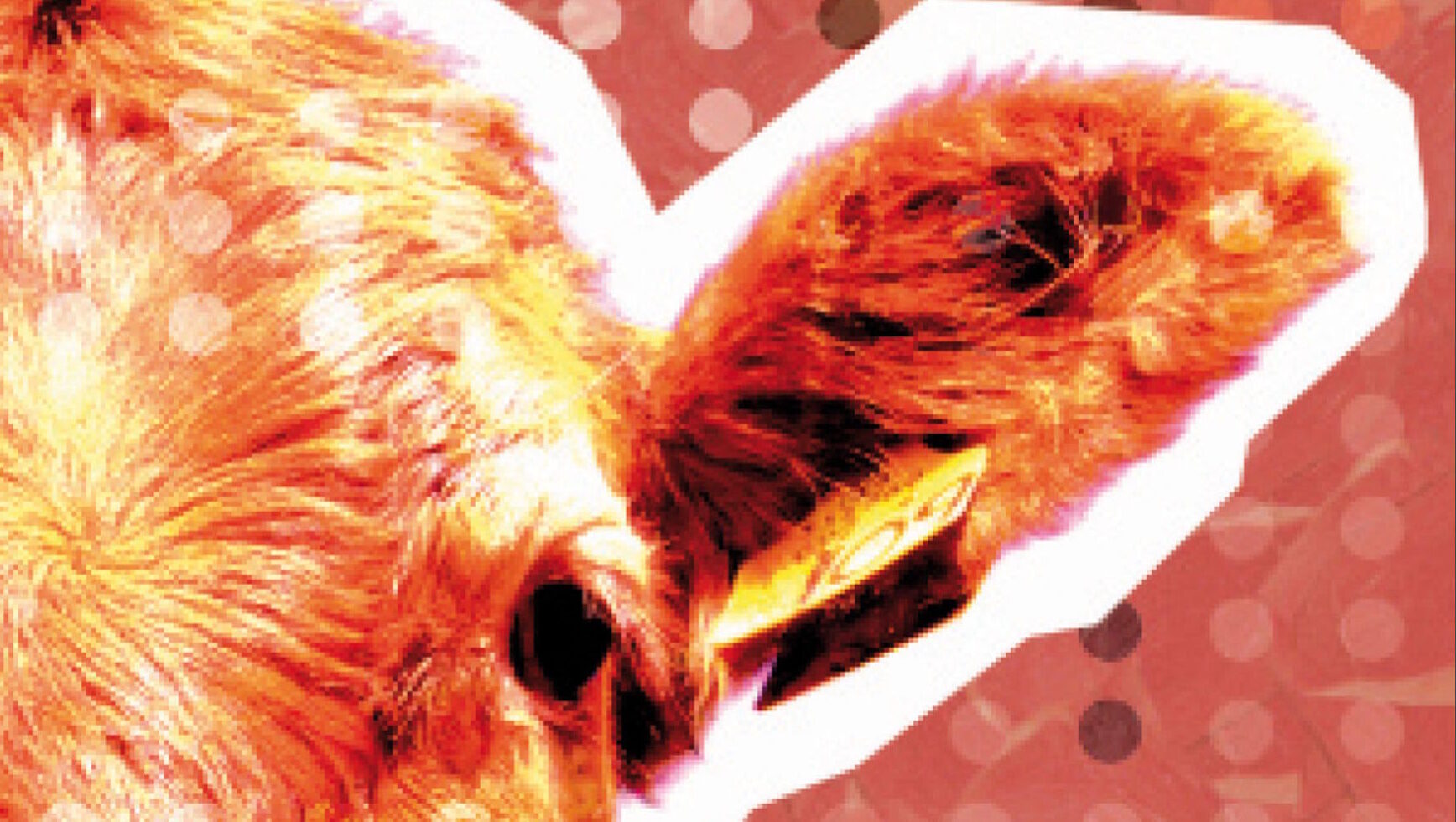 Antispeciesist Manifesto. Theory, strategy, ethics and utopia for a new free society